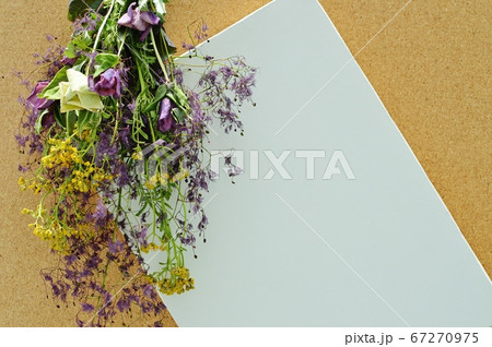 スモークツリーのドライフラワーで作ったスワッグとキャンバス 67270975