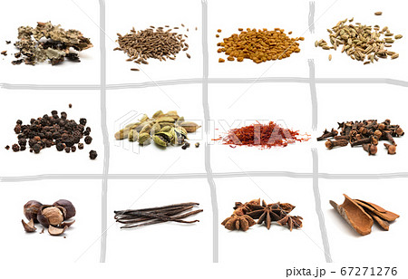 Set of different spices 67271276