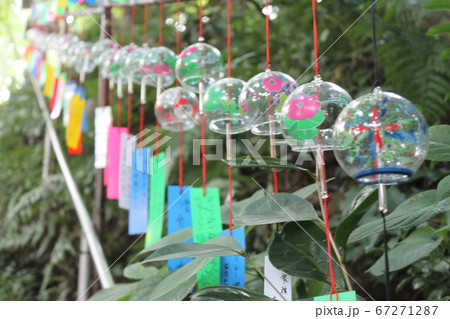 福岡県小郡市の如意輪寺（かえる寺） 67271287