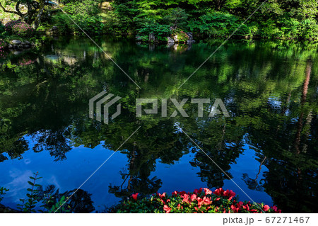 兼六園の初夏 兼六園の初夏 67271467