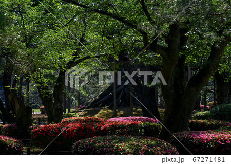 兼六園の初夏 67271481