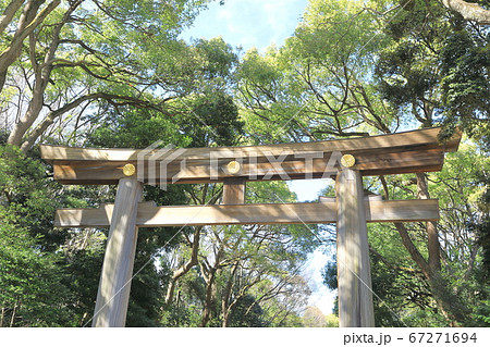 東京都 日本一の明治神宮大鳥居 東京都 日本一の明治神宮大鳥居 67271694