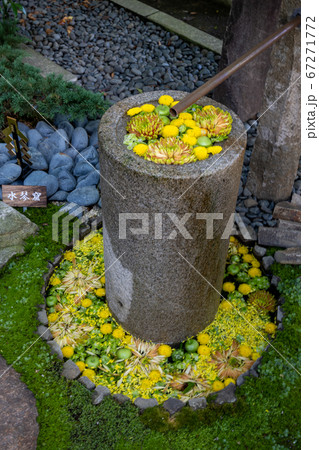 埼玉県行田市 行田八幡神社の花手水 埼玉県行田市 行田八幡神社の花手水 67271772