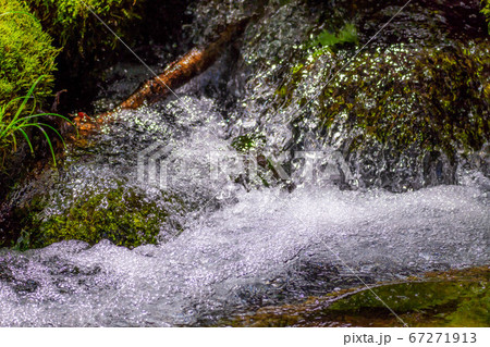 新緑の清流の水飛沫 蓼科大滝 【長野県】 新緑の清流の水飛沫 蓼科大滝 【長野県】 67271913