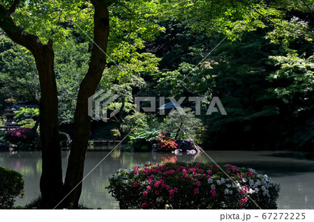 兼六園の初夏 兼六園の初夏 67272225