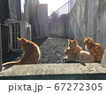 ひなたぼっこ 67272305