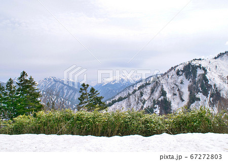 黒部平から見た山並み 67272803