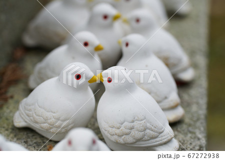 三宅八幡の鳩 67272938