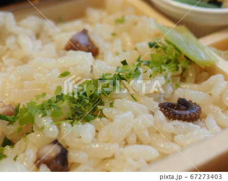 お弁当の蛸と生姜ご飯　蛸ご飯弁当 67273403
