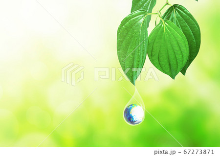 Earth in water drop under the green leaf 67273871