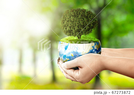 Human hands holding the earth with a growing tree 67273872