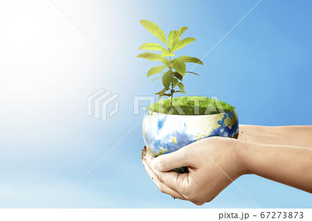 Human hands holding the earth with growing plants 67273873