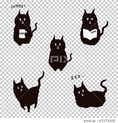 黑貓的生活方式 67273920