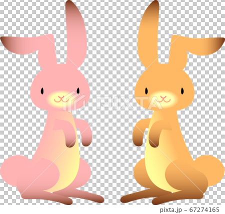 Rabbit Rabbit 67274165
