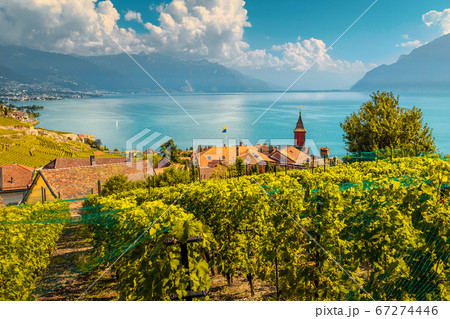 Beautiful vineyards in Lavaux region near Chexbres, Vaud, Switzerland Beautiful vineyards in Lavaux region near Chexbres, Vaud, Switzerland 67274446