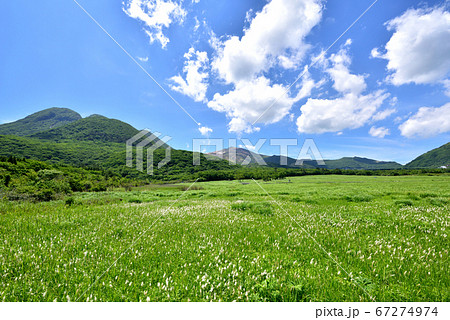 くじゅう長者原からの三俣山　タデ原湿原自然研究路　夏色のくじゅう連山 67274974