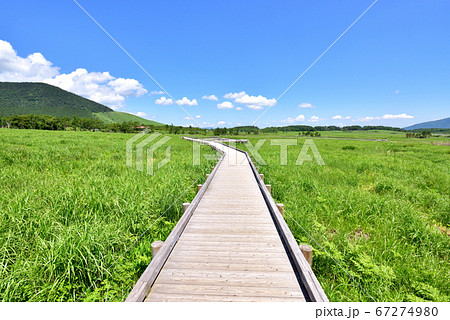 くじゅう長者原風景 タデ原湿原自然研究路 夏色のくじゅう連山 くじゅう長者原風景 タデ原湿原自然研究路 夏色のくじゅう連山 67274980