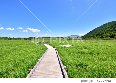 くじゅう長者原風景 タデ原湿原自然研究路 夏色のくじゅう連山 くじゅう長者原風景 タデ原湿原自然研究路 夏色のくじゅう連山 67274981