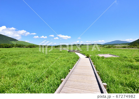 くじゅう長者原風景　タデ原湿原自然研究路　夏色のくじゅう連山 67274982