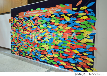 オーストラリア メルボルン 王立小児病院 オーストラリア メルボルン 王立小児病院 67276266