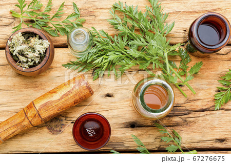 Wild carrots in herbal medicine Wild carrots in herbal medicine 67276675