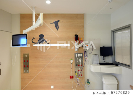 オーストラリア メルボルン モナシュ大学病院 オーストラリア メルボルン モナシュ大学病院 67276829