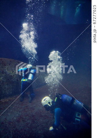 水族館の水槽の中を清掃するダイバー 水族館の水槽の中を清掃するダイバー 67277025
