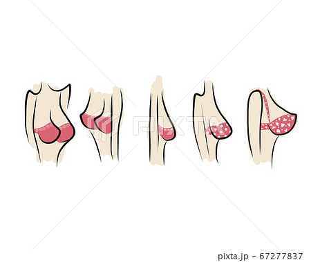 Female breast sketch for your design - Stock Illustration [67277837] - PIXTA
