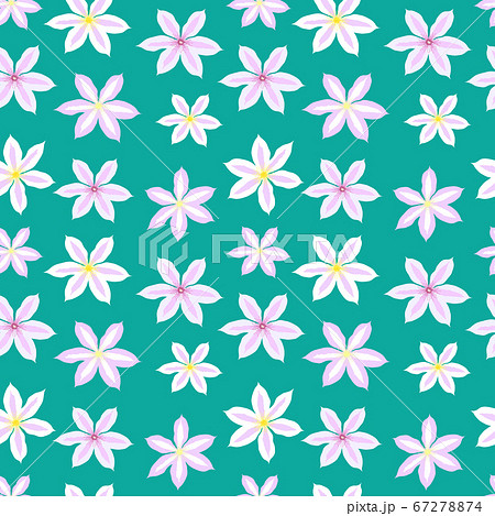 Beautiful clematis flower seamless pattern Beautiful clematis flower seamless pattern 67278874