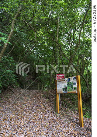 須雲川自然探勝歩道周辺の風景 67280396