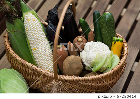 色々な種類の夏野菜 色々な種類の夏野菜 67280414