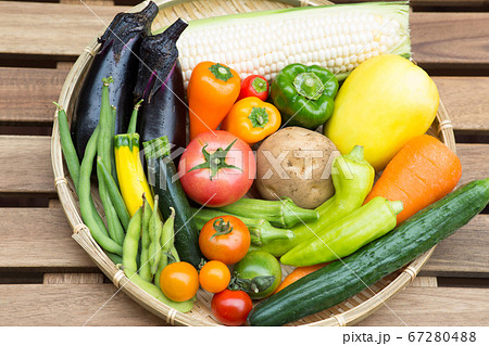 色々な種類の夏野菜 色々な種類の夏野菜 67280488