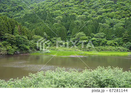 お玉ヶ池 箱根町 お玉ヶ池 箱根町 67281144