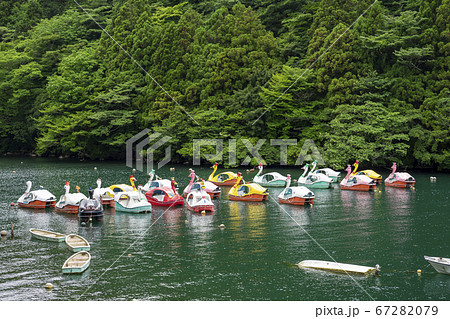 芦ノ湖手漕ぎボート 67282079