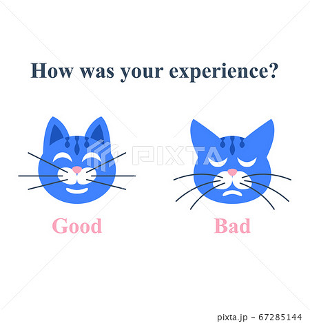 20_cat_feedback_1.eps 67285144