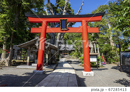 伊豆下田 白濱神社 伊豆下田 白濱神社 67285413
