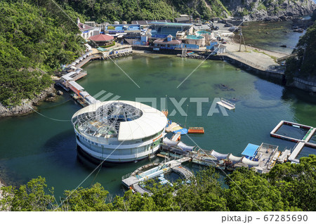 下田海中水族館 67285690