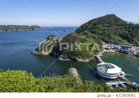 下田海中水族館 下田海中水族館 67285692