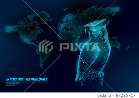 Owl bird symbol of wise education. E-learning distance concept. Graduate certificate international global program concept. Low poly 3D internet education course World map vector illustration 67285717