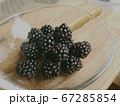 ブラックベリー摘みたて 67285854