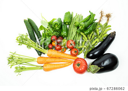 緑黄色野菜 緑黄色野菜 67286062