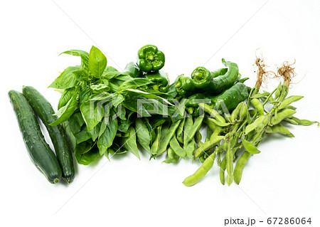 緑黄色野菜 緑黄色野菜 67286064