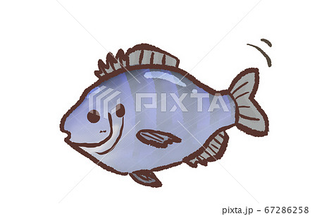 R:メルヘンな水族館 外来種 ブルーギル1 R:メルヘンな水族館 外来種 ブルーギル1 67286258