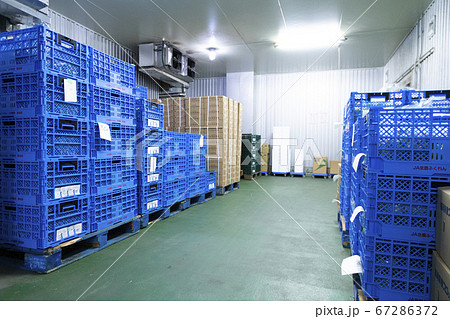 冷凍食品保存 67286372