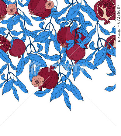 Vector seamless pattern with pomegranate fruits and seeds on white background. 67286687