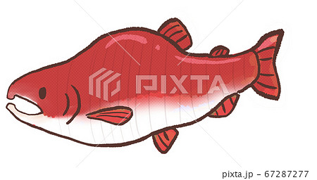 R:メルヘンな水族館 カラフトマス3 R:メルヘンな水族館 カラフトマス3 67287277