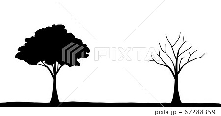 葉の生い茂る木と葉の落ちた木 のイラスト素材