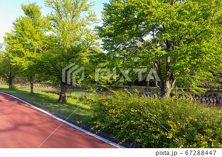 別府沼公園 別府沼公園 67288447