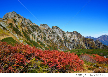 真っ赤に紅葉したナナカマドの森と、北アルプスの最難関の岩陵帯、劔岳の岩肌、秋晴れの青空。 67288450