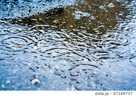 雨 水溜り 波紋の写真素材